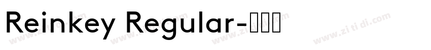 Reinkey Regular字体转换